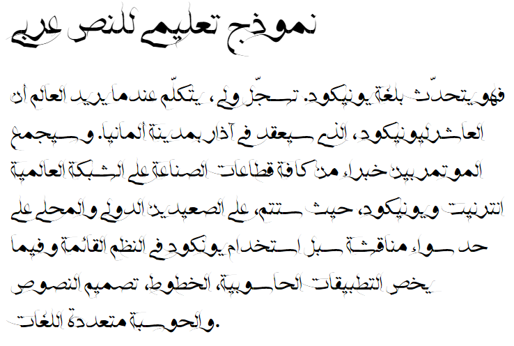HSN Naskh Farisi Arabic Font