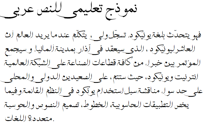 HSN Naskh Arabic Font