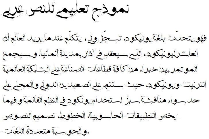 HSN Naskh Farisi Arabic Font