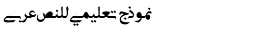 Adobe SHIN Arabic Font