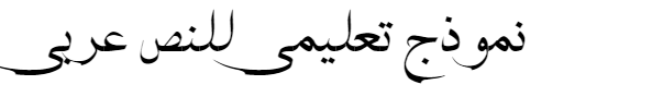 HSN Naskh Arabic Font