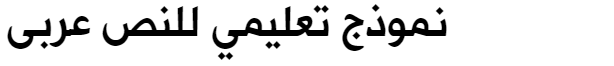 Hacen Liner Screen Bd Arabic Font